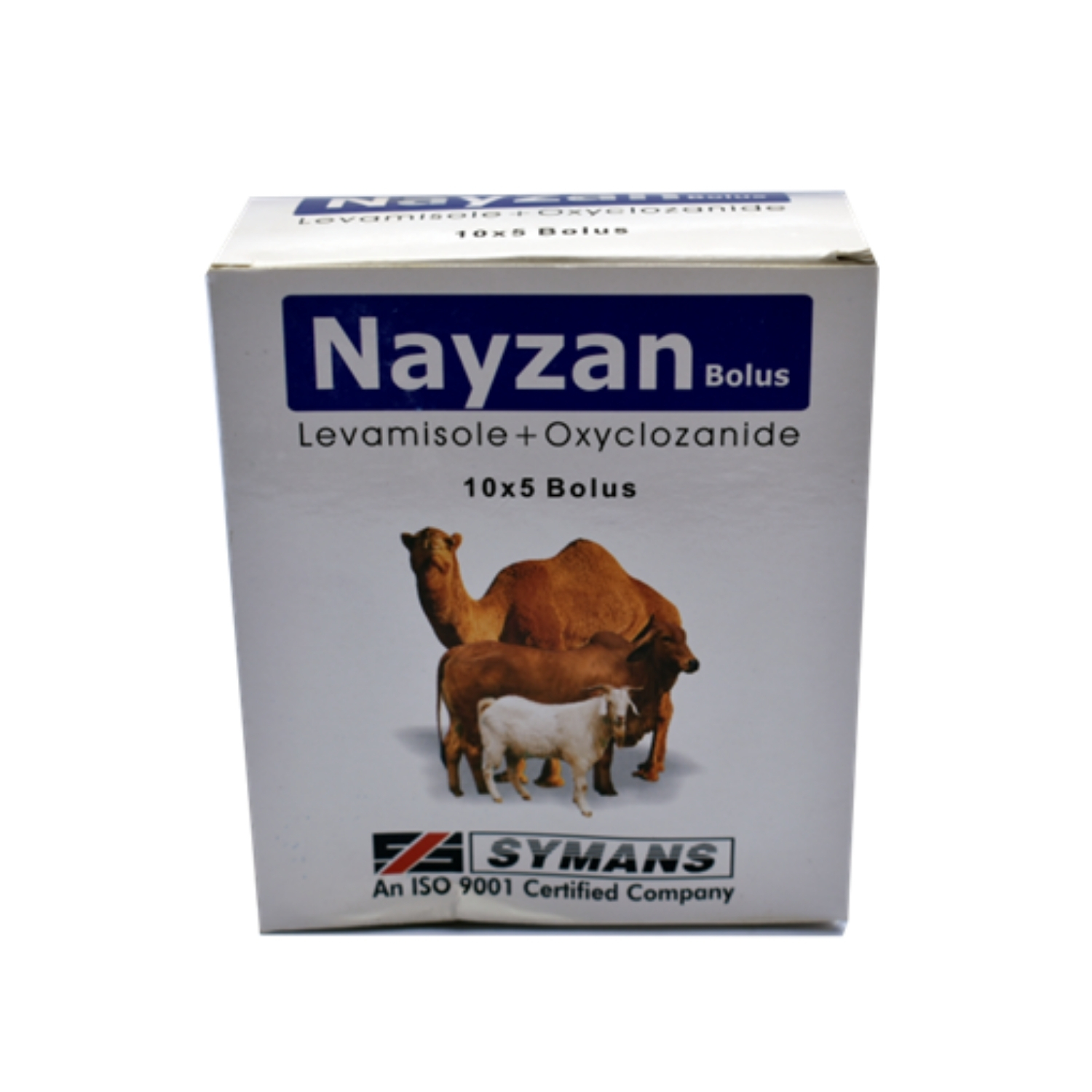 Nayzan Bolus