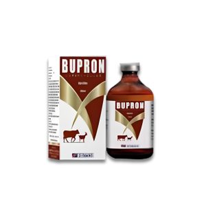 Bupron